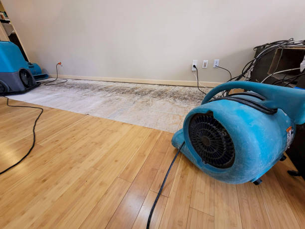 Professional Emergency Water Damage technician working in Gretna, VA